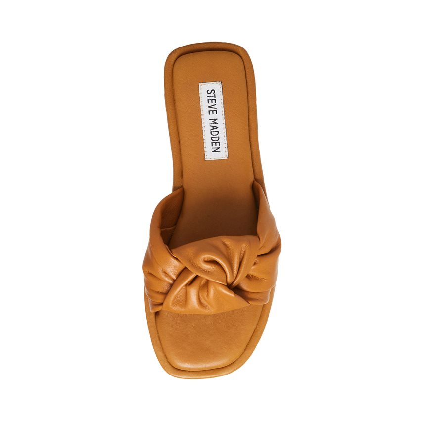 Brown Steve Madden Tatiana Women's Slides | PH 3950UZS